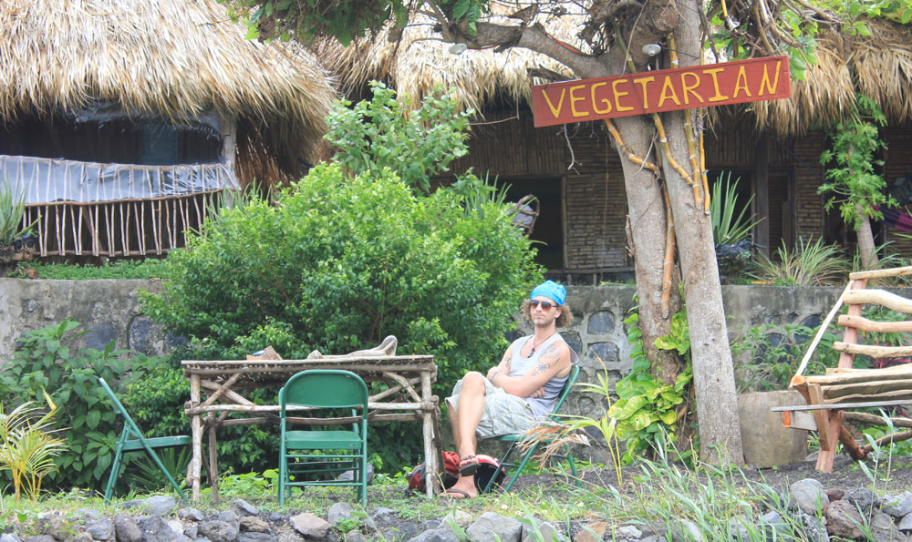 Vegetarian Travel