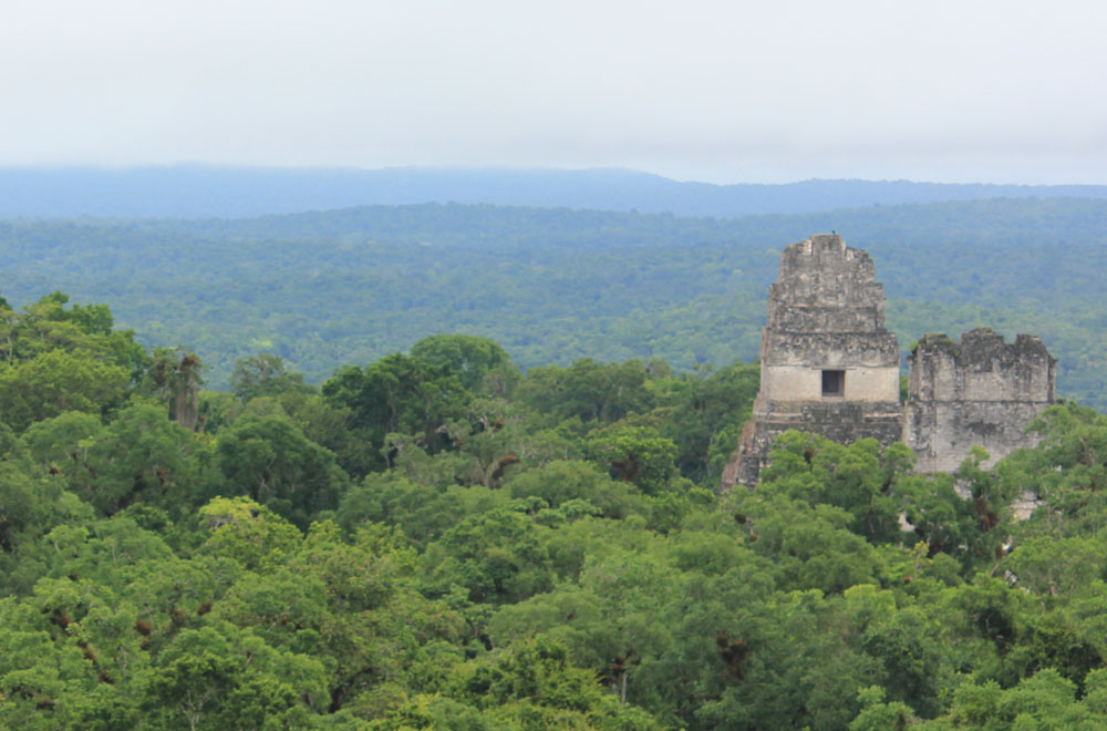 Tikal Ruins - Guatemala