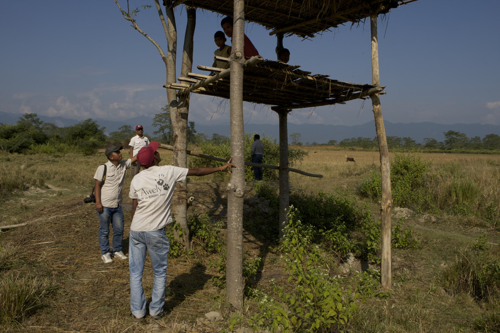 Our Red Caps in India checking an observation tower. Villagers spend the nights in these towers to protect their fields when elephants come to eat the crops. Photo credit: Awely