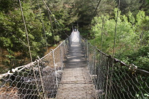Swing bridge, Reefton