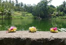 Prayer and offerings to the Gods is an integral part of life in Bali