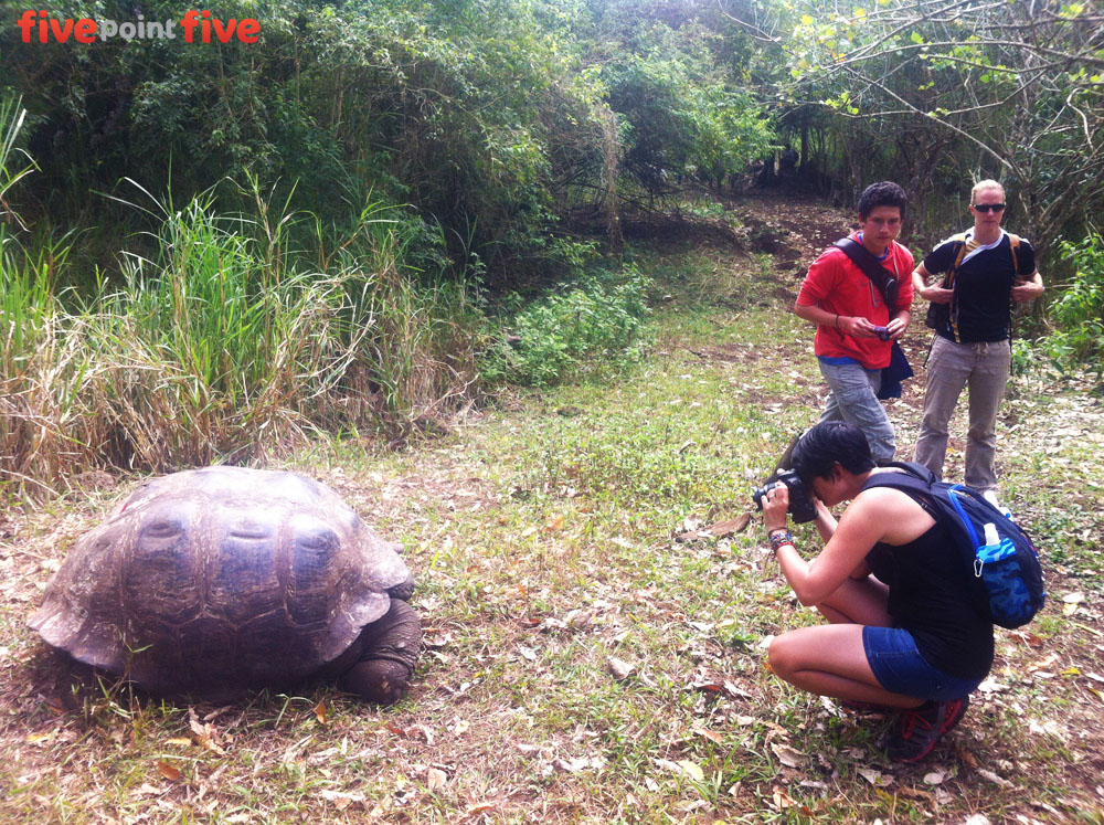 Tracking Giant Tortoises - Galapagos Islands