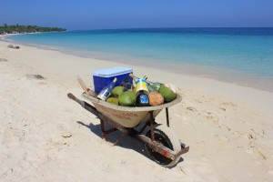 Mobile Bar - Playa Blanca - Colombia