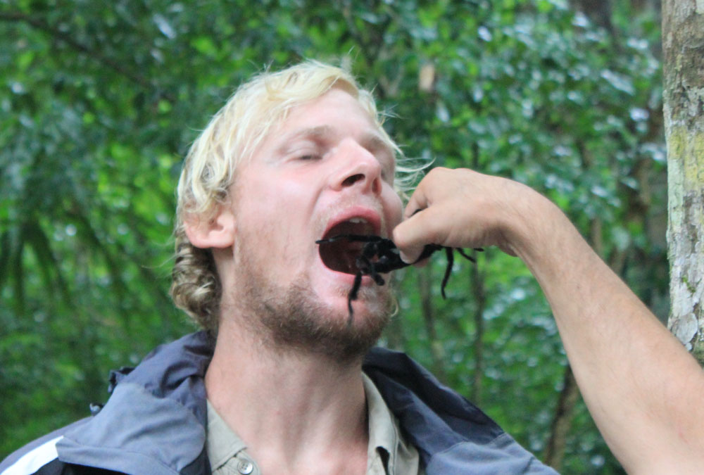 Tarantula in the mouth