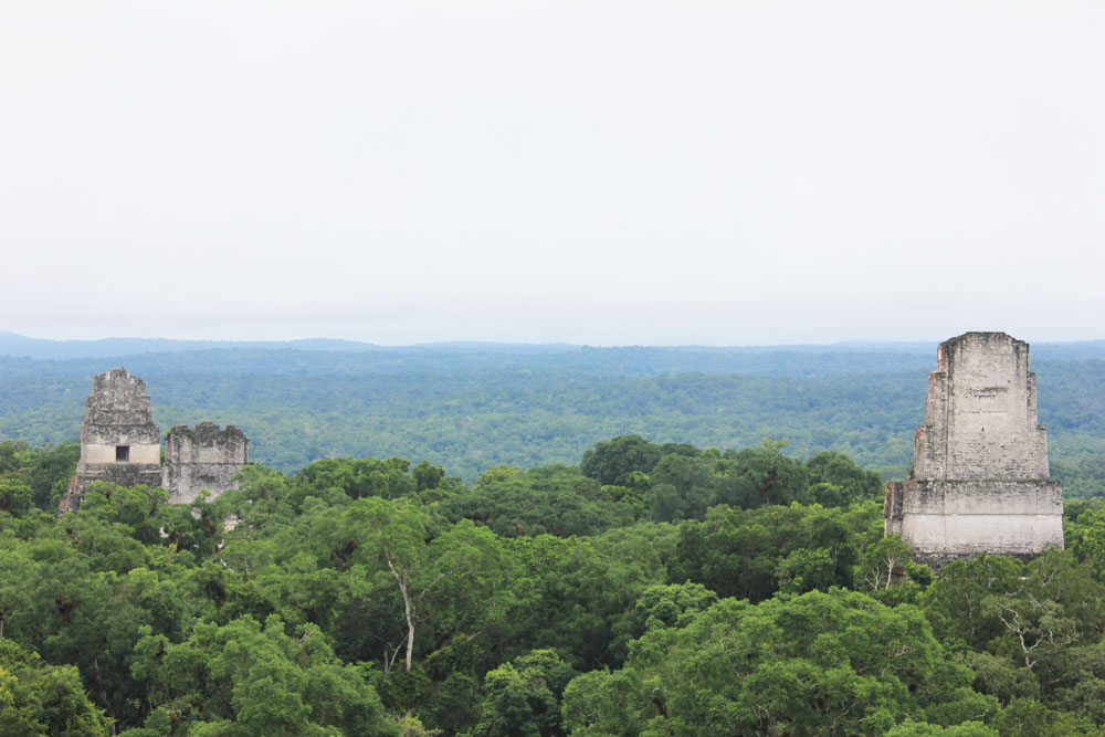 Tikal ruins, Guatemala