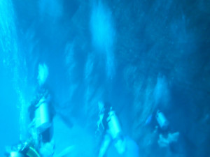 Bad Blue Hole Dive Picture