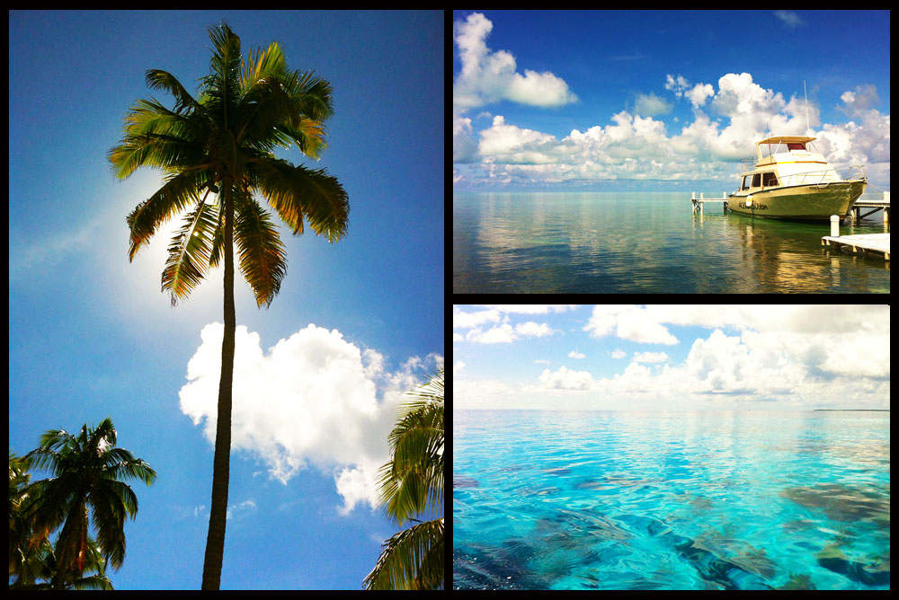 Dive The Blue Hole Belize