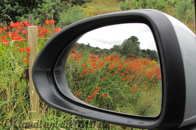 Montbretia borders the Irish roads