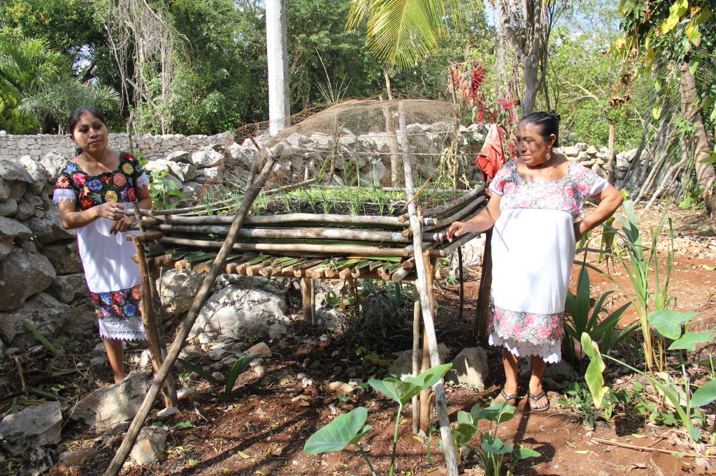 Working with the raised garden beds