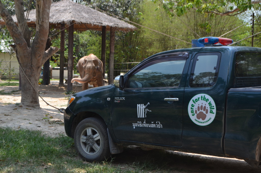 The Kenyan patrol landrover