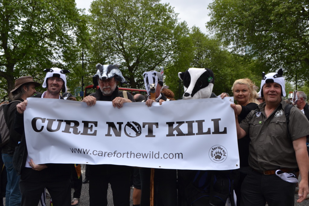 Demonstration march for badgers