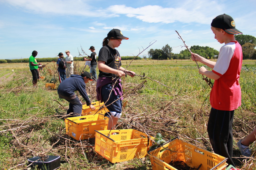 Pride Escape program for children to learn about farming