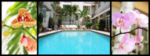 The pool at The Betsy Hotel - South Beach