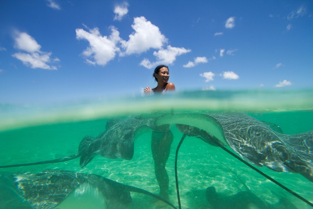 Stingrays in Bora Bora during the Iron Mana Liquid Festival. Photo credit: Wim Lippens