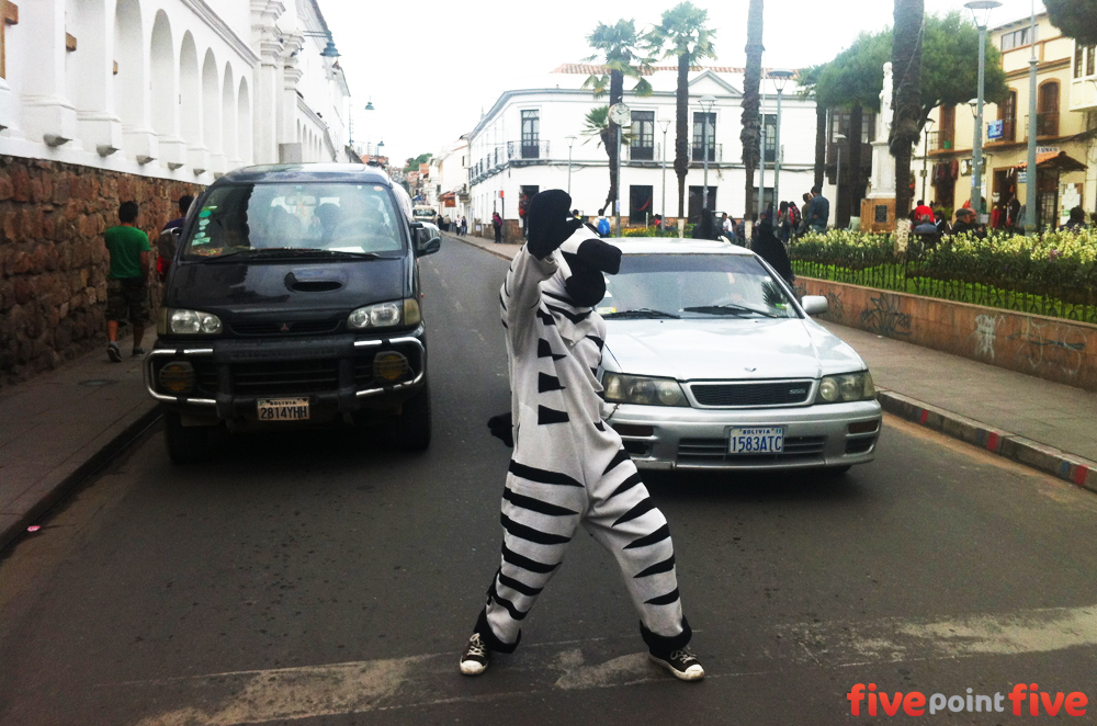 Zebra Crossing Bolivia