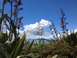 Rangitoto Island New Zealand