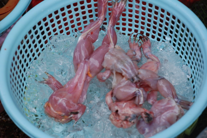 Saigon Markets Frogs