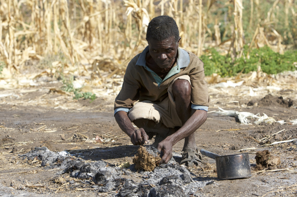 A villager adding some dried chilli in elephant dung -  the smoke of the dung burnt also keeps elephants away from the crops. Photo credit: Awely