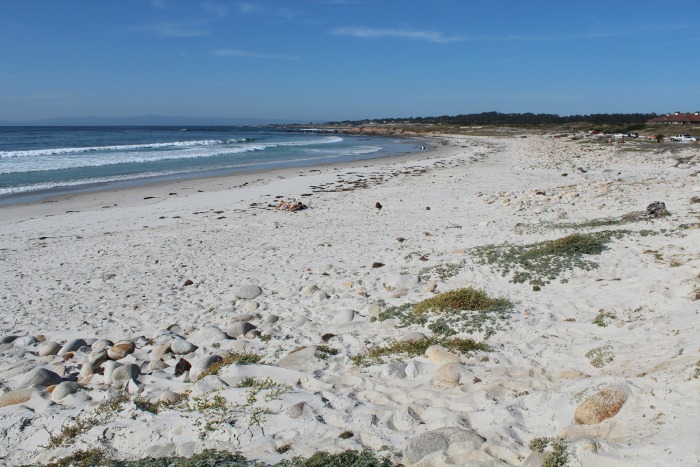 17 Mile Drive: Spanish Bay