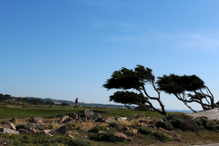 17 Mile Drive: The Links At Spanish Bay