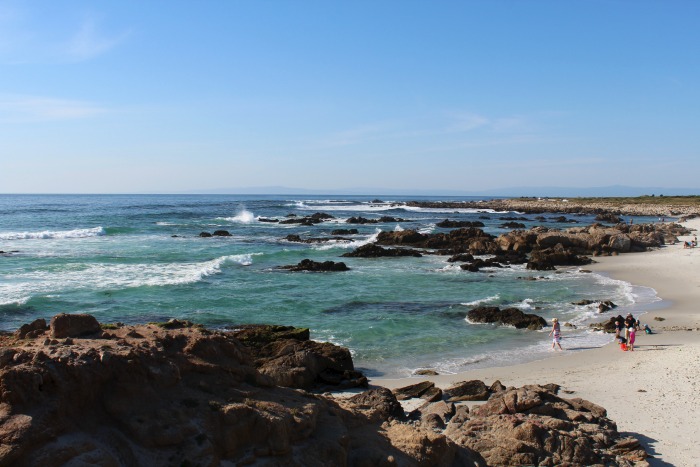 17 Mile Drive: Fanshell Overlook