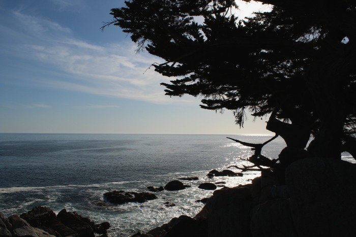 17 Mile Drive