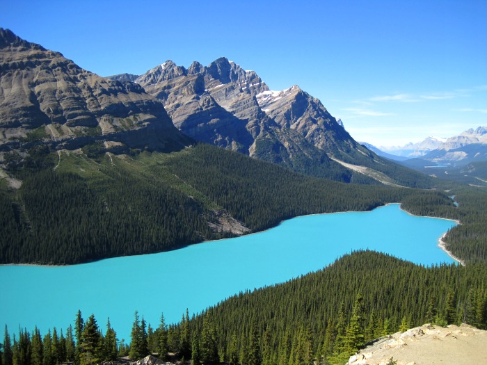 Tour Group Travel: Peyto Lake in Canada