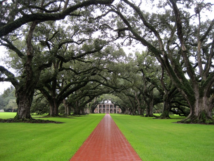 Tour Group Travel: Oak Alley Plantation