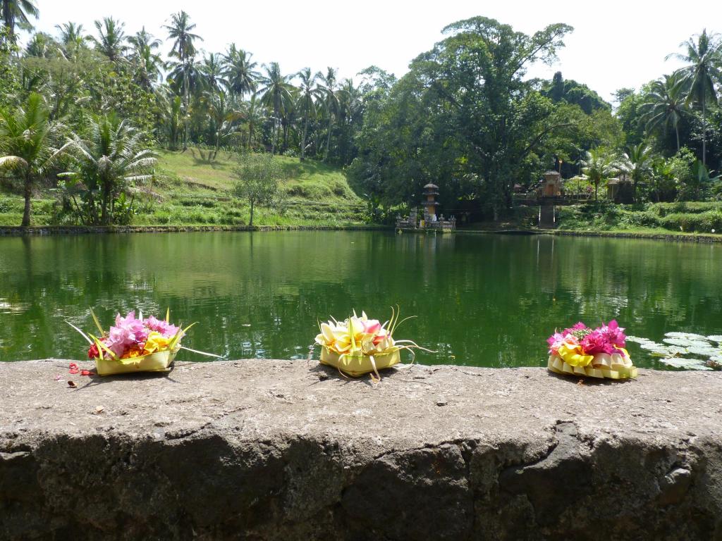 Prayer and offerings to the Gods is an integral part of life in Bali