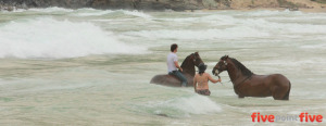 Horses in Puerto Colombia, Venezuela