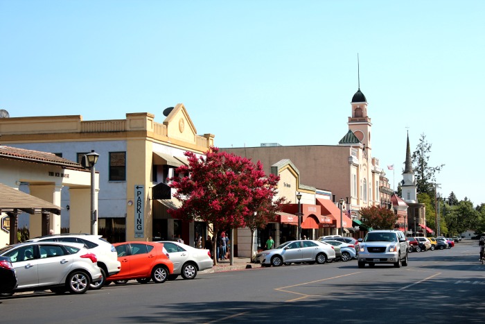 Wine Country: Sonoma