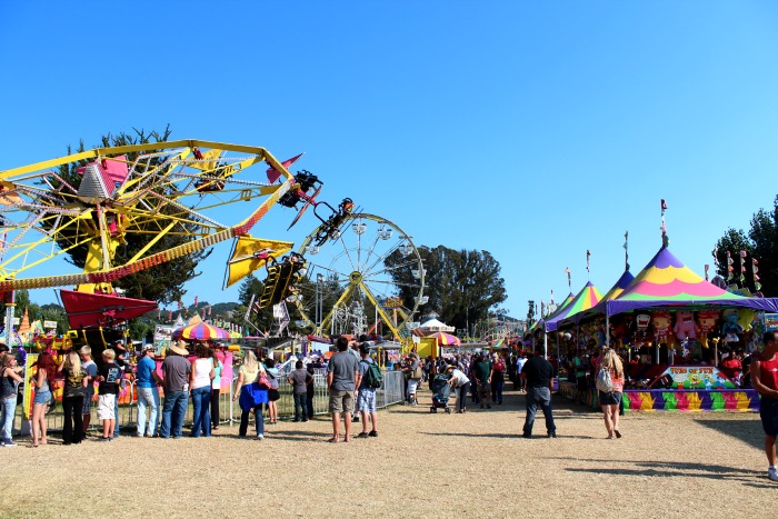 Wine Country: Santa Rosa County Fair