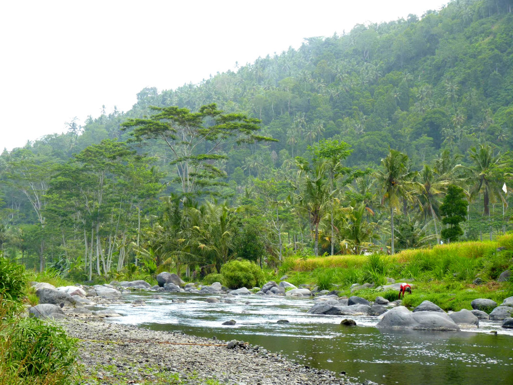 Exploring the river that borders the property