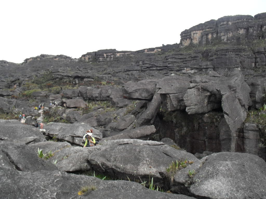 Mount Roraima